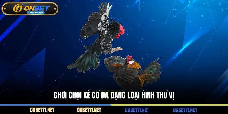 Chơi chọi kê có đa dạng loại hình thú vị