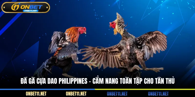 Đá gà cựa dao Philippines - Cẩm nang toàn tập cho tân thủ