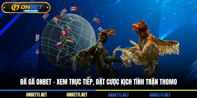 Đá gà Onbet - Xem trực tiếp đặt cược kịch tính trận Thomo