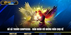 Đá gà Thomo Campuchia - Mãn nhãn với những màn chọi kê