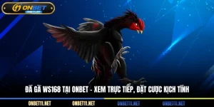 Đá gà WS168 tại Onbet - Xem trực tiếp đặt cược kịch tính