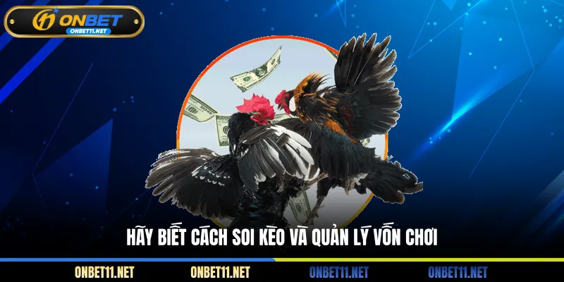 Đá Gà WS168 Tại ONBET - Xem Trực Tiếp, Đặt Cược Kịch Tính Hãy biết cách soi kèo và quản lý vốn chơi