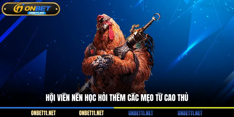 Đá Gà Thomo Campuchia – Mãn Nhãn Với Những Màn Chọi Kê Hội viên nên học hỏi thêm các mẹo từ cao thủ