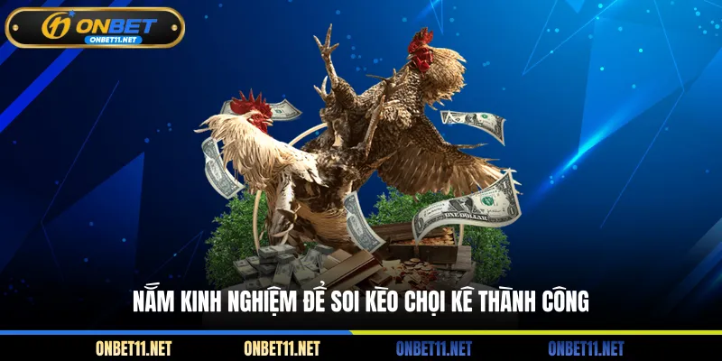 Nắm kinh nghiệm để soi kèo chọi kê thành công