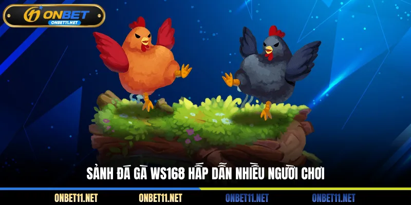 Đá Gà WS168 Tại ONBET - Xem Trực Tiếp, Đặt Cược Kịch Tính Sảnh đá gà WS168 hấp dẫn nhiều người chơi