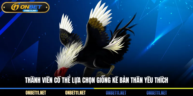 Thành viên có thể lựa chọn giống kê bản thân yêu thích