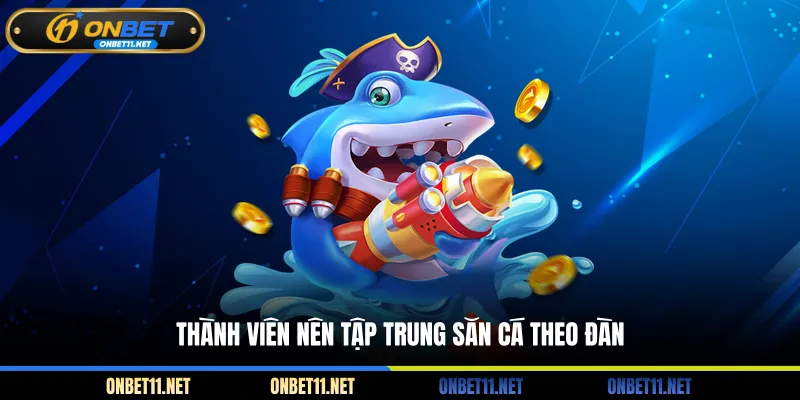 Thành viên nên tập trung săn cá theo đàn